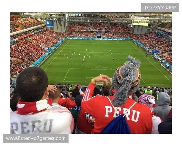世界杯激战正酣多强争锋焦点赛事引爆全球球迷热情